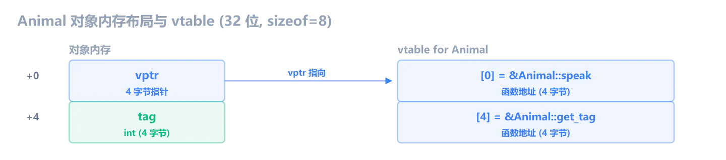 Animal 对象内存布局与 vtable：对象首 4 字节是 vptr，指向右侧 vtable；vtable 按声明顺序存函数地址