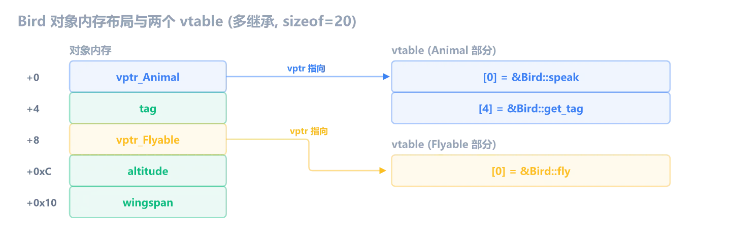 Bird 对象内存布局与两个 vtable：多继承下对象有两个 vptr，分别指向 Animal 部分和 Flyable 部分的 vtable