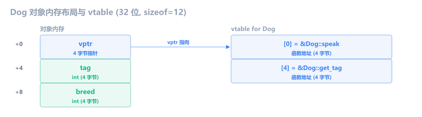 Dog 对象内存布局与 vtable：对象含 vptr、tag、breed 三个字段，vptr 指向右侧 vtable