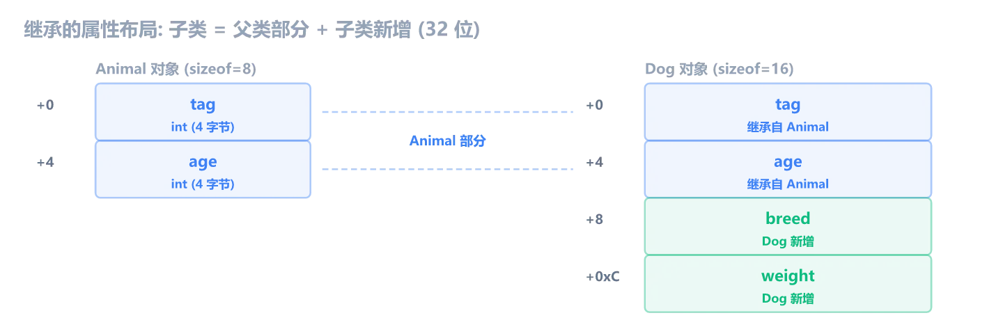 继承的属性布局：子类对象 = 父类部分（蓝色 tag/age）+ 子类新增（绿色 breed/weight），偏移连续排列